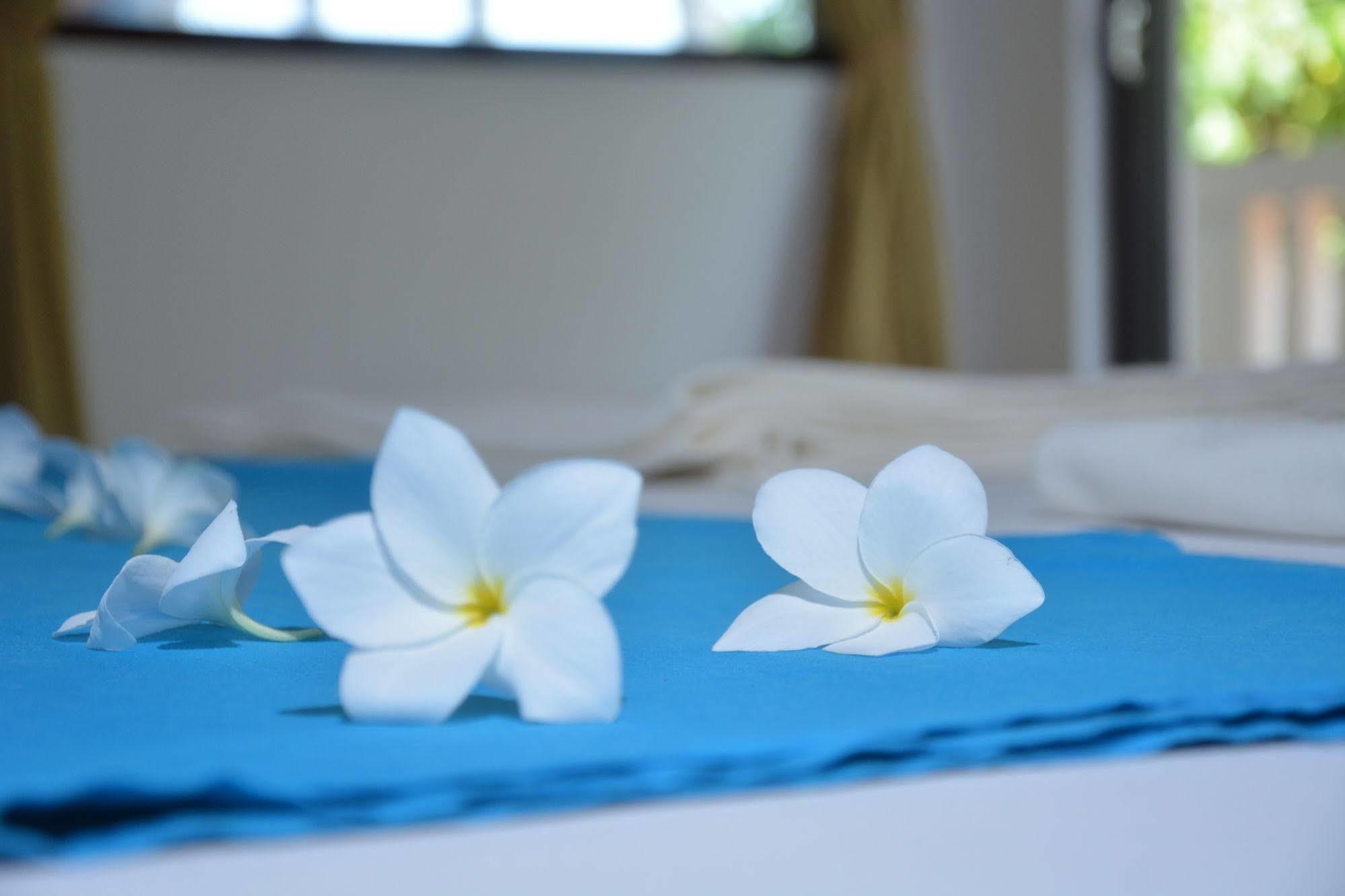 Blue Sky Beach Resort Unawatuna Eksteriør billede